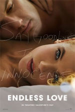 Watch Endless Love 123MovieFree