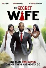 Watch The Secret Wife 123MovieFree