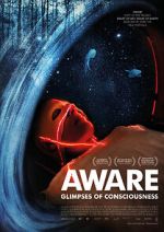Watch Aware: Glimpses of Consciousness 123MovieFree
