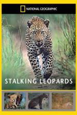 Watch National Geographic: Stalking Leopards 123MovieFree