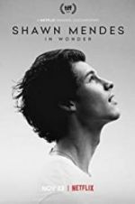 Watch Shawn Mendes: In Wonder 123MovieFree