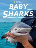 Watch Baby Sharks 123MovieFree