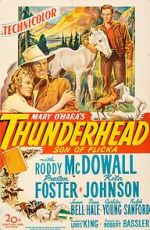 Watch Thunderhead: Son of Flicka 123MovieFree