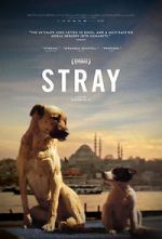 Watch Stray 123MovieFree