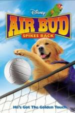 Watch Air Bud Spikes Back 123MovieFree