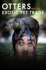 Watch Otters and the Exotic Pet Trade 123MovieFree