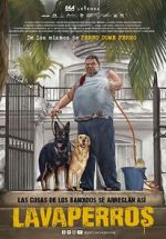 Watch Dogwashers 123MovieFree