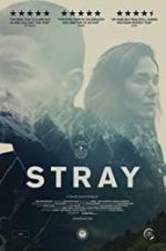 Watch Stray 123MovieFree