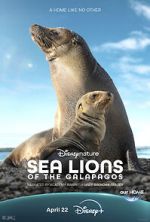 Watch Sea Lions of the Galapagos (TV Special 2025) 123MovieFree