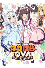 Watch Nekopara OVA Extra 123MovieFree