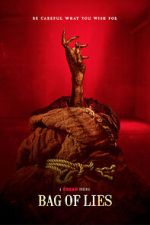 Watch Bag of Lies 123MovieFree