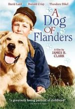Watch A Dog of Flanders 123MovieFree