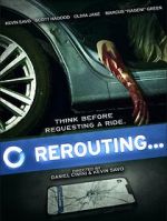 Watch Rerouting 123MovieFree