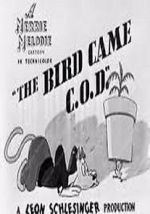 Watch The Bird Came C.O.D. (Short 1942) 123MovieFree