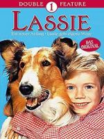 Watch Lassie: A New Beginning 123MovieFree