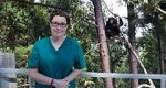 Watch Sue Perkins and the Chimp Sanctuary 123MovieFree