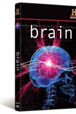 Watch The Brain 123MovieFree