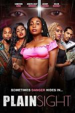 Watch Plain Sight 123MovieFree
