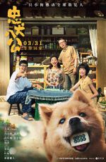 Watch Hachiko 123MovieFree