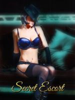 Watch Secret Escort 123MovieFree