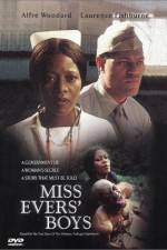 Watch Miss Evers löfte 123MovieFree