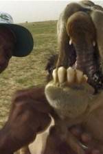 Watch With the Nomads 123MovieFree