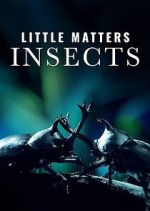 Watch Little Matters: Insects 123MovieFree