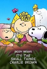 Watch Snoopy Presents: It's the Small Things, Charlie Brown (TV Special 2022) 123MovieFree