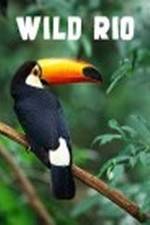 Watch Wild Rio 123MovieFree