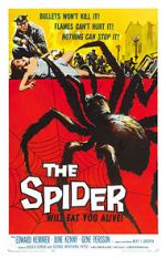 Watch The Spider 123MovieFree
