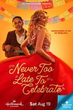 Watch Never Too Late to Celebrate 123MovieFree