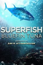 Watch Superfish Bluefin Tuna 123MovieFree