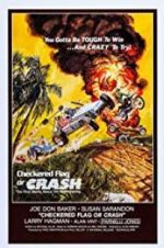 Watch Checkered Flag or Crash 123MovieFree