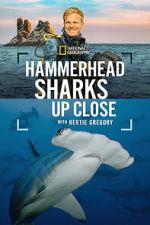 Watch Hammerhead Sharks Up Close with Bertie Gregory 123MovieFree