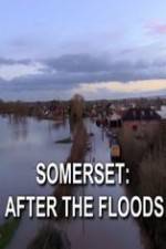 Watch Somerset: After the Floods 123MovieFree