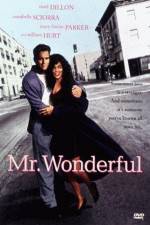 Watch Mr Wonderful 123MovieFree