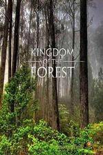 Watch National Geographic Kingdom of the Forest 123MovieFree