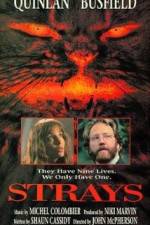 Watch Strays 123MovieFree