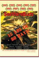 Watch SeeMoreBuds: Vol. 1 123MovieFree