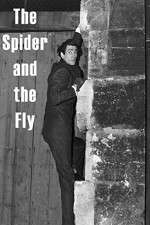 Watch The Spider and the Fly 123MovieFree
