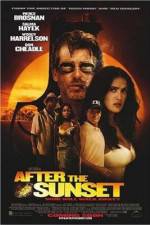 Watch After the Sunset 123MovieFree