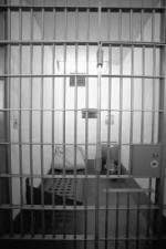 Watch Serving Life 123MovieFree