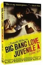 Watch Big Bang Love Juvenile A 123MovieFree