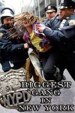 Watch NYPD: Biggest Gang in New York? 123MovieFree