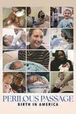 Watch Perilous Passage: Birth in America 123MovieFree