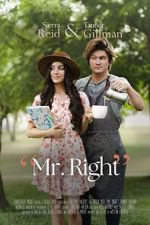 Watch Mr. Right 123MovieFree