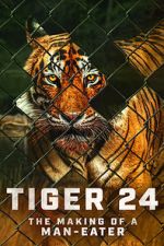 Watch Tiger 24 123MovieFree