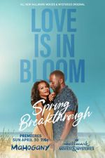 Watch Spring Breakthrough 123MovieFree