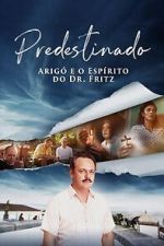 Watch The Surgeon of the Rusty Knife 123MovieFree