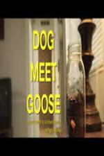 Watch Dog Meet Goose 123MovieFree
